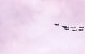 Eight, french, mirage, jet aircraft, flying in formation