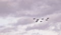 Eight, french, mirage, jet aircraft, flying in formation