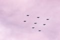 Eight, french, mirage, jet aircraft, flying in formation