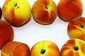 A small round of fresh, healthy peaches on a white background Royalty Free Stock Photo