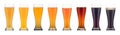 Eight glasses with various beers on a white background.