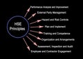 Eight HSE Principles