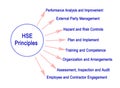 Eight HSE Principles