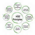 Eight HSE Principles