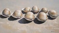 Seashells on Sand Royalty Free Stock Photo