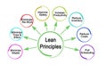 Principles of Lean Methodology