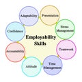 Skills Which Promote Employability Royalty Free Stock Photo