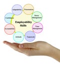 Skills Which Promote Employability Royalty Free Stock Photo