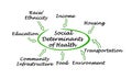 Social Determinants of Health