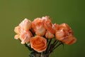 Eighteen long stem orange-peach roses in a glass vase with a green background Royalty Free Stock Photo