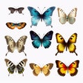 Vibrant Hyper-realistic Butterfly Illustrations On White Background