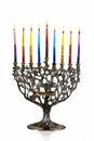 Eighth day of Chanukah. XXL