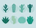 eigth cactus items