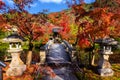 Eikando autumn park around bridge, Kyoto
