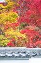 Eikando Temple at Autumn Maple Season. Japan Maple Momiji Season Image. maple leaves at stone ladder.