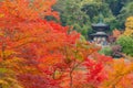 Eikando Zenrinji Temple with red maple leaves or fall foliage in autumn season. Colorful trees, Kyoto, Japan. Nature landscape Royalty Free Stock Photo