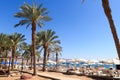 Eilat beach with palm trees, sunshades and sunloungers at Red Sea, Israel