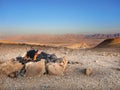 Eilat Desert Mountain Israel Jeep Road Royalty Free Stock Photo