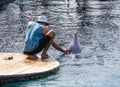 Petting a Dolphin in Eilat