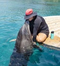 Kissing a Dolphin in Israel