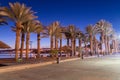 Dusk with palm trees in Eilat resort