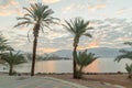 Sunrise with palm trees in Eilat resort