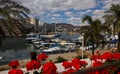 Eilat, the port full of yachts.