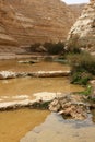 Ein Avdat Canyon, Israel