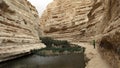 Ein Avdat national park, Negev desert, Israel Royalty Free Stock Photo