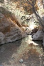 Ein Bokek Brook Natural Pool, The Dead Sea Royalty Free Stock Photo