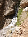 Ein Bokek Brook Waterfall, The Dead Sea Royalty Free Stock Photo