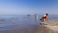 Ein Gedi Beach. Dead Sea, Israel Royalty Free Stock Photo