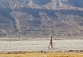 Ein Gedi Beach. Dead Sea, Israel Royalty Free Stock Photo