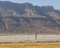 Ein Gedi Beach. Dead Sea, Israel Royalty Free Stock Photo