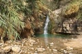 Ein Gedi creek, Dead sea, Israel Royalty Free Stock Photo