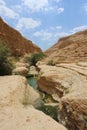 Ein Gedi, Judea Desert in the Holy Land, Israel Royalty Free Stock Photo