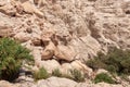 Ein Gedi  National Nature Reserve, located in the Judean Desert, southern Israel Royalty Free Stock Photo