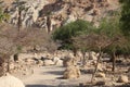 Ein Gedi Nature Reserve, Dead Sea, Israel Royalty Free Stock Photo