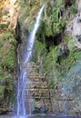 Ein Gedi - Nature Reserve and National Park Royalty Free Stock Photo