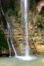 Ein Gedi Nature Reserve