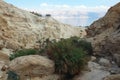 Ein Gedi oasis in Israel Royalty Free Stock Photo