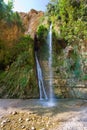 Ein Gedi