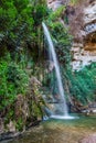 Ein-Gedi - the reserve and national park of Israel Royalty Free Stock Photo