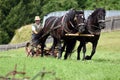 A team of horses with a historic plow in Austria Royalty Free Stock Photo