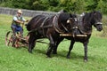 A team of horses with a historic plow in Austria Royalty Free Stock Photo