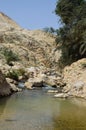 Ein Prat national park Israel Royalty Free Stock Photo