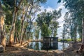 Ein Yizreel spring of Jezreel, water pool with Eucalyptus trees