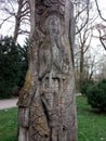 Eine Baum