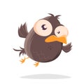 Flying cartoon bird illustration Royalty Free Stock Photo