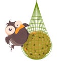 Funny cartoon illustration of a bird on a titmouse dumpling